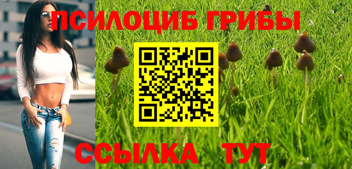 Коммунар  наркошоп  Вход с VPN  Галлюциногенные грибы мухоморы 